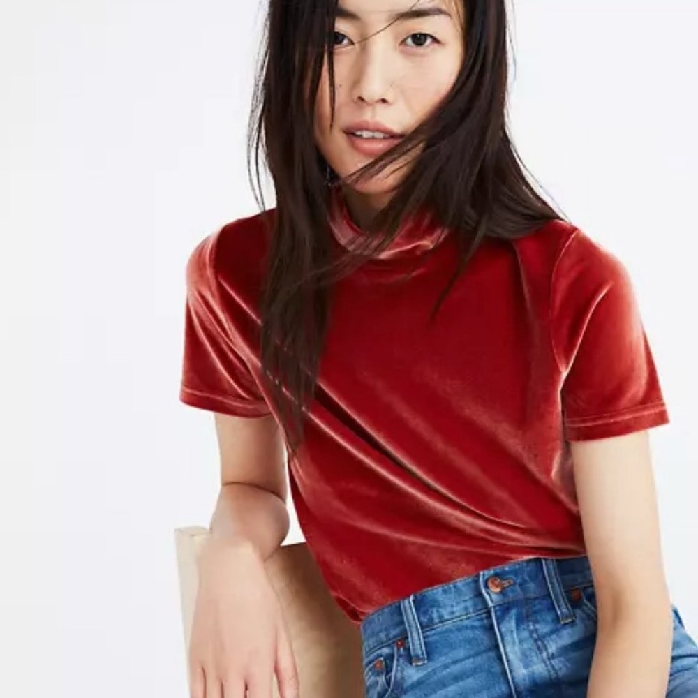 Madewell | Velvet Mockneck Short Sleeve Tee